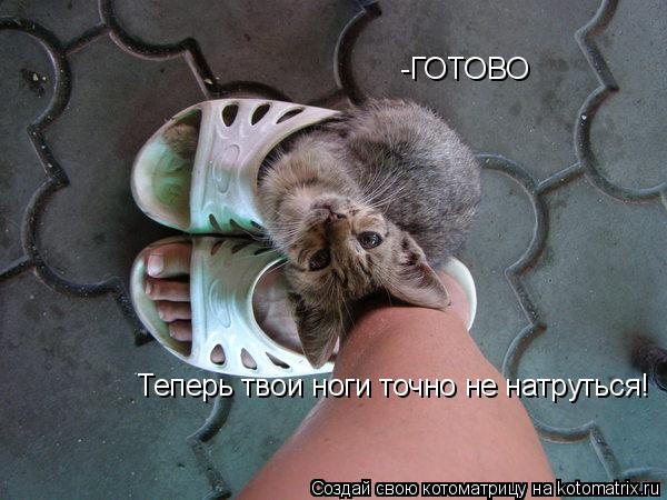 Котоматрица: -ГОТОВО Теперь твои ноги точно не натруться!