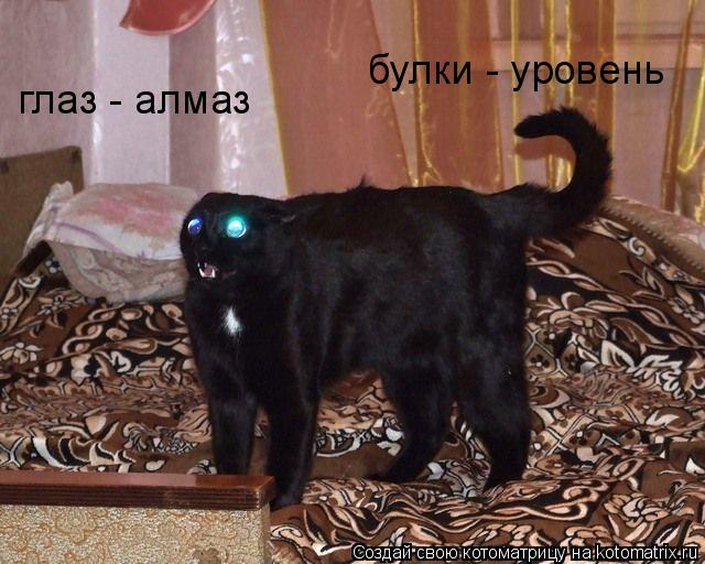 Котоматрица: глаз - алмаз булки - уровень