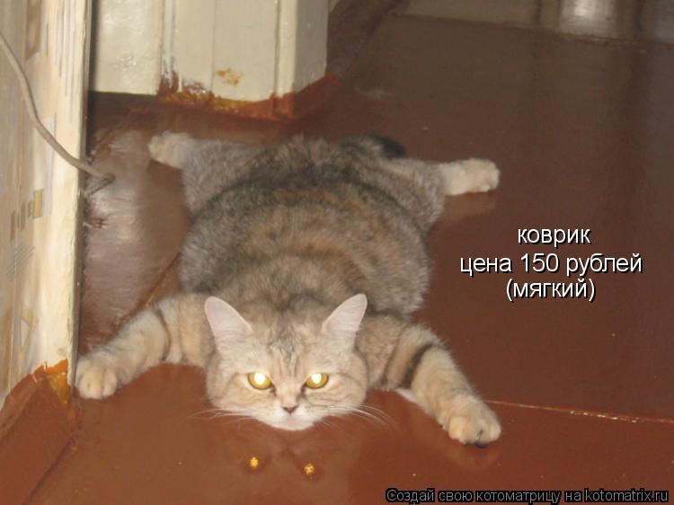 Котоматрица: коврик цена 150 рублей (мягкий)