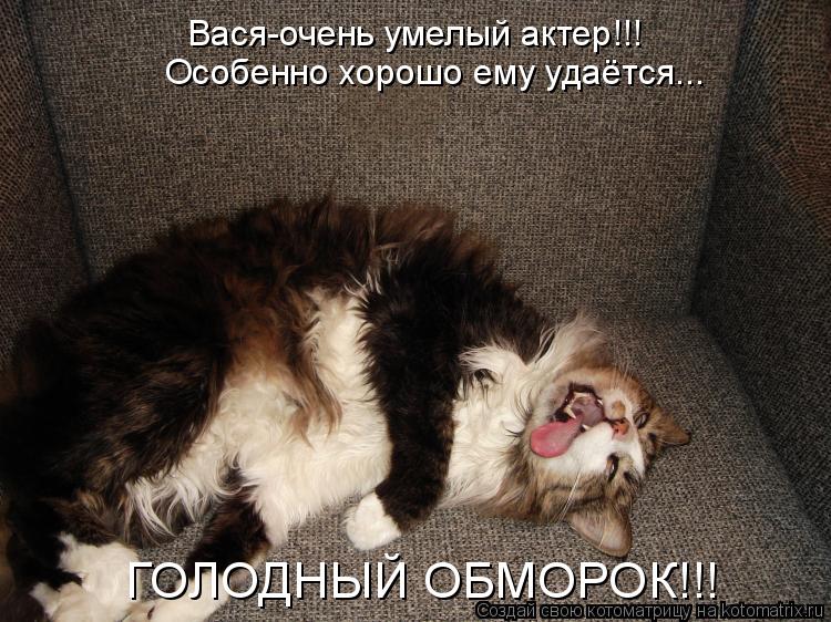 Вася-очень умелый актер!!! Особенно хорошо ему удаётся... ГОЛОДНЫЙ ОБМОРОК!!!... Котоматрица: Вася-очень умелый актер!!! Особенно хорошо ему удаётся... ГОЛОДНЫЙ ОБМОРОК!!!
