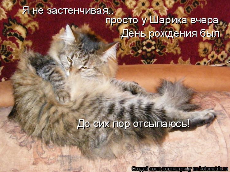 Я не застенчивая.. просто у Шарика вчера День рождения был До сих пор отсыпаюсь!... Котоматрица: Я не застенчивая.. просто у Шарика вчера День рождения был До сих пор отсыпаюсь!