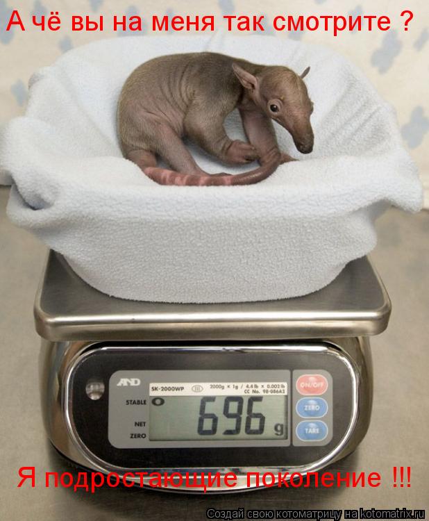 А чё вы на меня так смотрите ? Я подростающие поколение !!!... Котоматрица: А чё вы на меня так смотрите ? Я подростающие поколение !!!