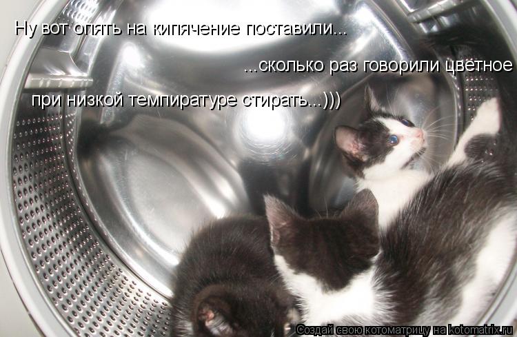 Ну вот опять на кипячение поставили... Ну вот опять на кипячение поставили... ...сколько раз говорили... Котоматрица: Ну вот опять на кипячение поставили... Ну вот опять на кипячение поставили... ...сколько раз говорили цветное надо при низкой темпиратуре сти