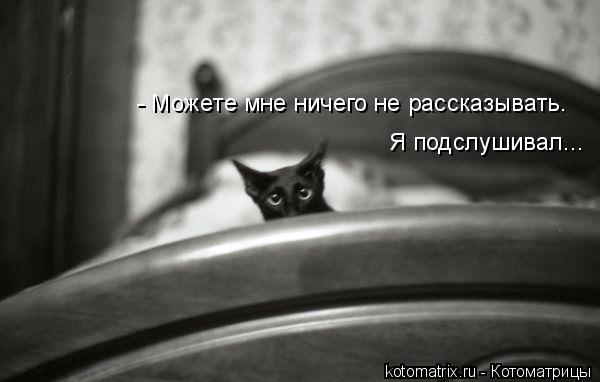 - Можете мне ничего не рассказывать. Я подслушивал...... Котоматрица: - Можете мне ничего не рассказывать. Я подслушивал...