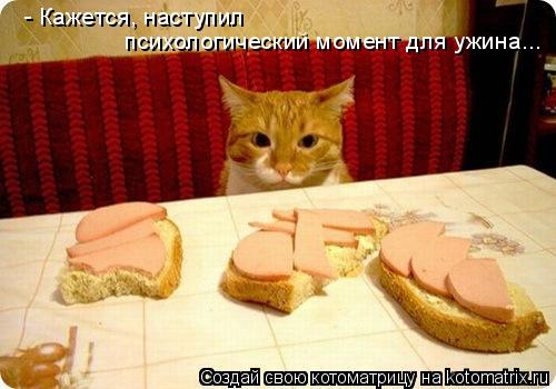 - Кажется, наступил психологический момент для ужина...... Котоматрица: - Кажется, наступил психологический момент для ужина...