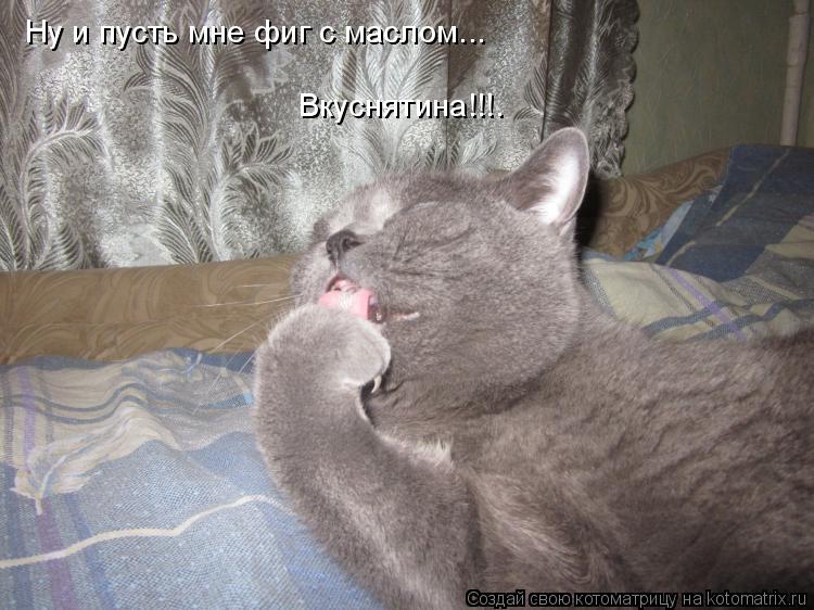 Ну и пусть мне фиг с маслом... Вкуснятина!!!.... Котоматрица: Ну и пусть мне фиг с маслом... Вкуснятина!!!.