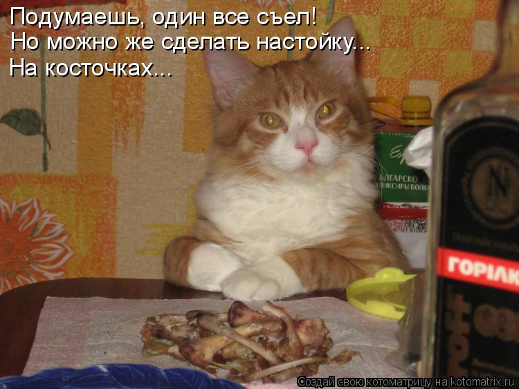 Подумаешь, один все съел! Но можно же сделать настойку... На косточках...... Котоматрица: Подумаешь, один все съел! Но можно же сделать настойку... На косточках...