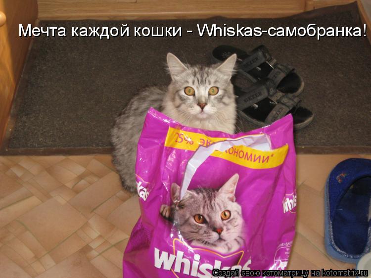 Мечта каждой кошки - Whiskas-самобранка!... Котоматрица: Мечта каждой кошки - Whiskas-самобранка!