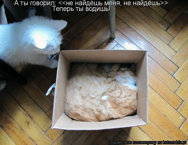 А ты говорил: <<не найдёшь меня, не найдёшь>> Теперь ты водишь!... Котоматрица: А ты говорил: <<не найдёшь меня, не найдёшь>> Теперь ты водишь!