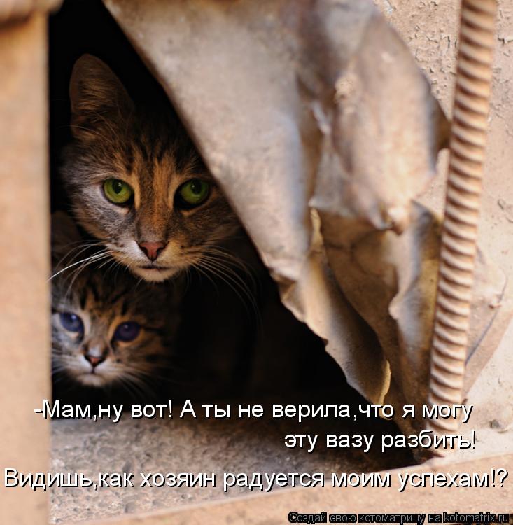 -Мам,ну вот! А ты не верила,что я могу эту вазу разбить! Видишь,как хозяин радуется моим успехам!?... Котоматрица: -Мам,ну вот! А ты не верила,что я могу эту вазу разбить! Видишь,как хозяин радуется моим успехам!?