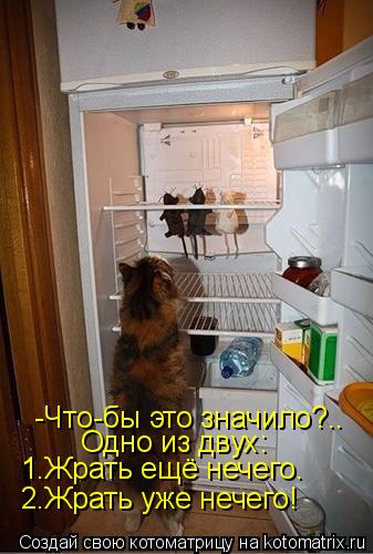 -Что-бы это значило?.. Одно из двух: 1.Жрать ещё нечего. 2.Жрать уже нечего!... Котоматрица: -Что-бы это значило?.. Одно из двух: 1.Жрать ещё нечего. 2.Жрать уже нечего!