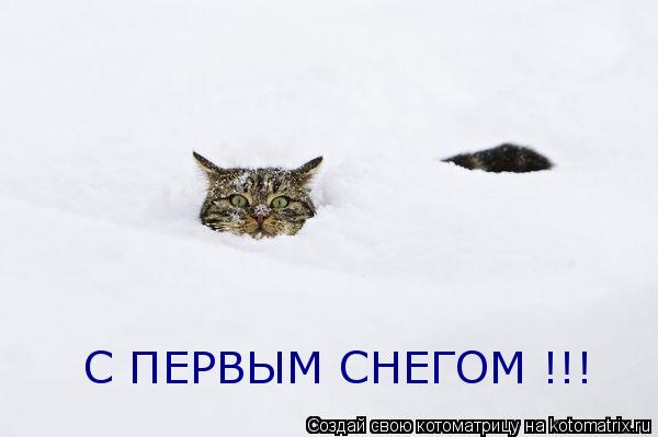 С ПЕРВЫМ СНЕГОМ !!!... Котоматрица: С ПЕРВЫМ СНЕГОМ !!!