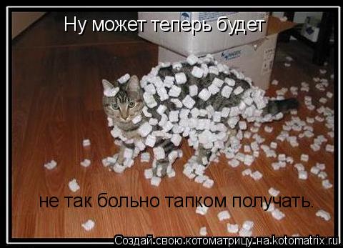 Ну может теперь будет не так больно тапком получать.... Котоматрица: Ну может теперь будет не так больно тапком получать.