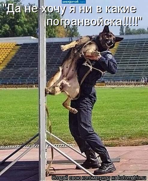 "Да не хочу я ни в какие погранвойска!!!!!"... Котоматрица: "Да не хочу я ни в какие погранвойска!!!!!"