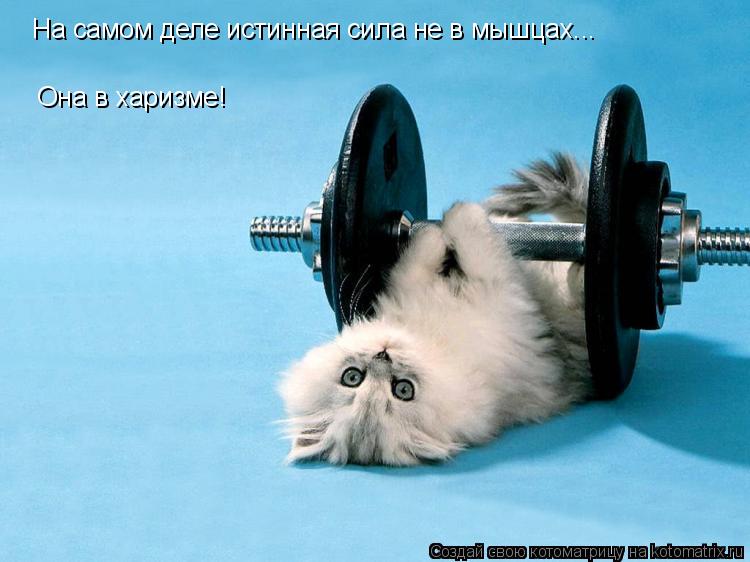На самом деле истинная сила не в мышцах... Она в харизме!... Котоматрица: На самом деле истинная сила не в мышцах... Она в харизме!