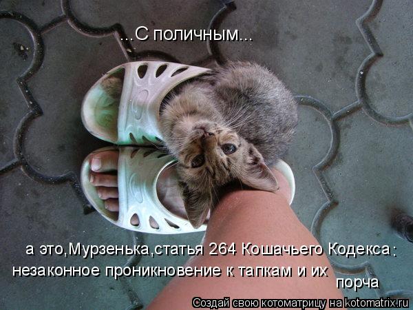 ...С поличным... а это,Мурзенька,статья 264 Кошачьего Кодекса незаконное проникновение к тапкам и их ... Котоматрица: ...С поличным... а это,Мурзенька,статья 264 Кошачьего Кодекса незаконное проникновение к тапкам и их порча :