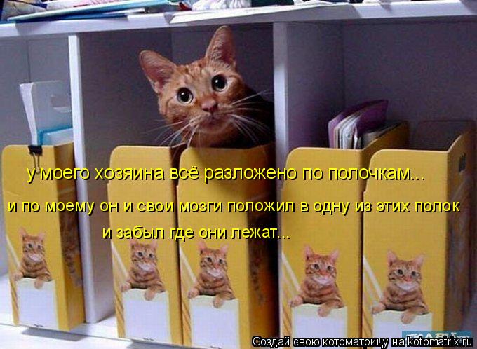у моего хозяина всё разложено по полочкам... и по моему он и свои мозги положил в одну из этих полок ... Котоматрица: у моего хозяина всё разложено по полочкам... и по моему он и свои мозги положил в одну из этих полок и забыл где они лежат...