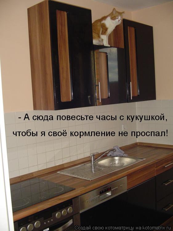 Котоматрица: - А сюда повесьте часы с кукушкой, чтобы я своё кормление не проспал!