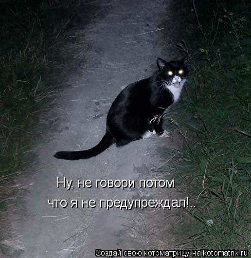 Ну, не говори потом что я не предупреждал!..... Котоматрица: Ну, не говори потом что я не предупреждал!..