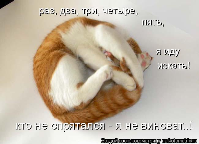 раз, два, три, четыре, пять, я иду искать! кто не спрятался - я не виноват..!... Котоматрица: раз, два, три, четыре, пять, я иду искать! кто не спрятался - я не виноват..!