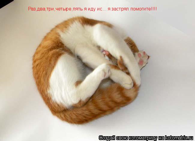Котоматрица: Раз,два,три,четыре,пять я иду ис... я застрял помогите!!!!