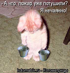 - А что, пожар уже потушили? Я нечаянно!... Котоматрица: - А что, пожар уже потушили? Я нечаянно!