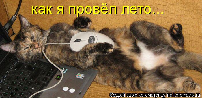 как я провёл лето...... Котоматрица: как я провёл лето...