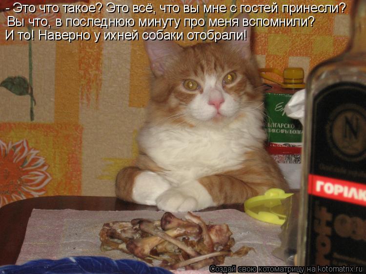 - Это что такое? Это всё, что вы мне с гостей принесли? Вы что, в последнюю минуту про меня вспомнили... Котоматрица: - Это что такое? Это всё, что вы мне с гостей принесли? Вы что, в последнюю минуту про меня вспомнили? И то! Наверно у ихней собаки отобрали!