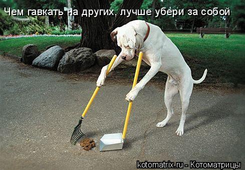 Котоматрица: Чем гавкать на других, лучше убери за собой