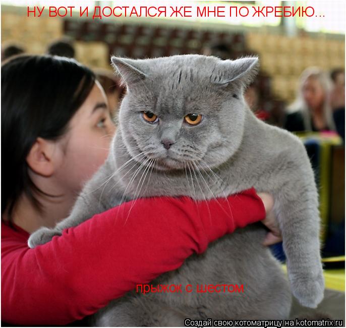 Котоматрица: НУ ВОТ И ДОСТАЛСЯ ЖЕ МНЕ ПО ЖРЕБИЮ... прыжок с шестом