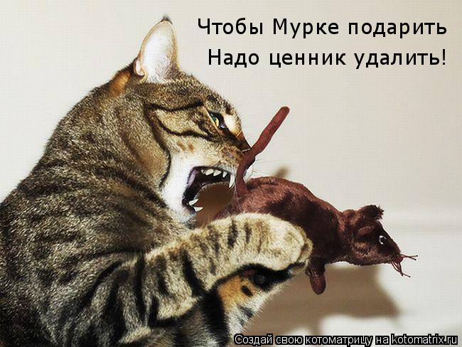 Котоматрица: Чтобы Мурке подарить Надо ценник удалить!