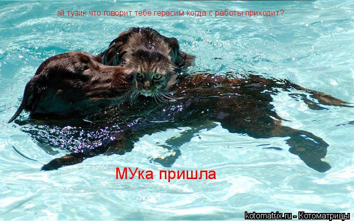 Котоматрица: эй тузик что говорит тебе герасим когда с работы приходит? МУка пришла
