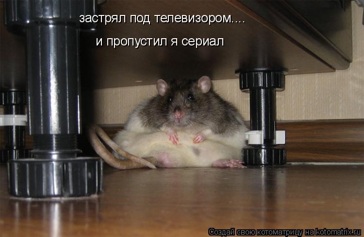 Котоматрица: застрял под телевизором.... и пропустил я сериал
