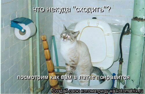 Котоматрица: что некуда "сходить"? посмотрим как вам в латке понравится