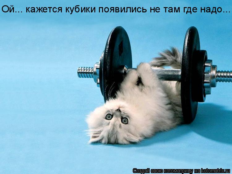 Котоматрица: Ой... кажется кубики появились не там где надо...