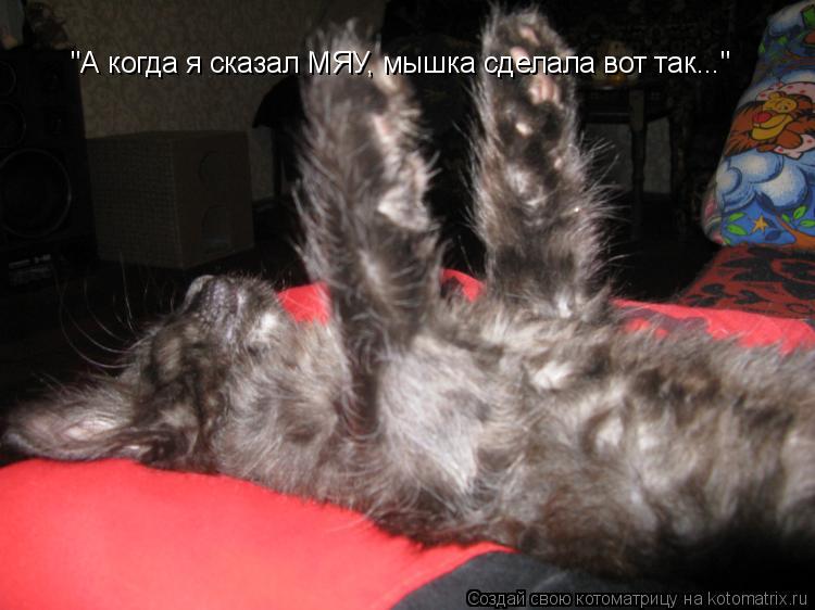 "А когда я сказал МЯУ, мышка сделала вот так..."... Котоматрица: "А когда я сказал МЯУ, мышка сделала вот так..."