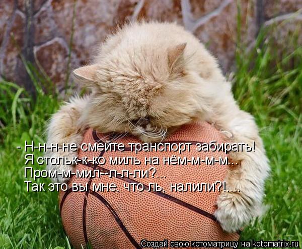- Н-н-н-не смейте транспорт забирать! Я стольк-к-ко миль на нём-м-м-м... Пром-м-мил--л-л-ли?... Так э... Котоматрица: - Н-н-н-не смейте транспорт забирать! Я стольк-к-ко миль на нём-м-м-м... Пром-м-мил--л-л-ли?... Так это вы мне, что ль, налили?!....