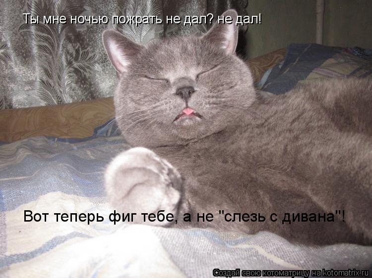 Ты мне ночью пожрать не дал? не дал! Вот теперь фиг тебе, а не "слезь с дивана"!... Котоматрица: Ты мне ночью пожрать не дал? не дал! Вот теперь фиг тебе, а не "слезь с дивана"!