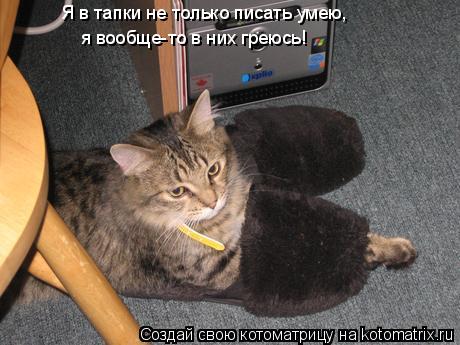 Я в тапки не только писать умею, я вообще-то в них греюсь!... Котоматрица: Я в тапки не только писать умею, я вообще-то в них греюсь!