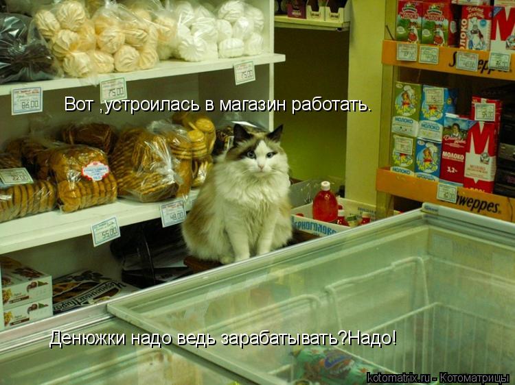 Вот ,устроилась в магазин работать.Денюжки надо ведь зарабатывать?Наддо! Вот ,устроилась в магазин ра... Котоматрица: Вот ,устроилась в магазин работать.Денюжки надо ведь зарабатывать?Наддо! Вот ,устроилась в магазин работать.Денюжки надо ведь зарабатывать
