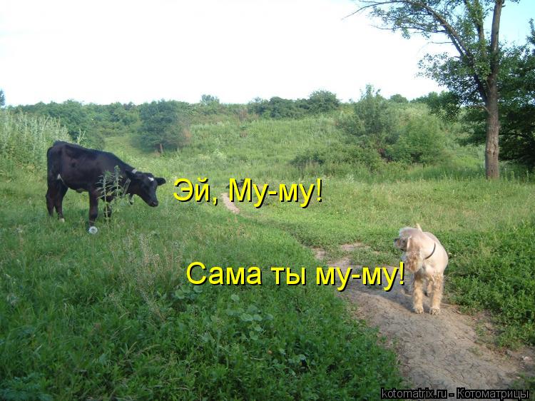 Эй, Му-му! Сама ты му-му!... Котоматрица: Эй, Му-му! Сама ты му-му!