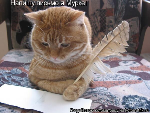 Напишу письмо я Мурке!... Котоматрица: Напишу письмо я Мурке!