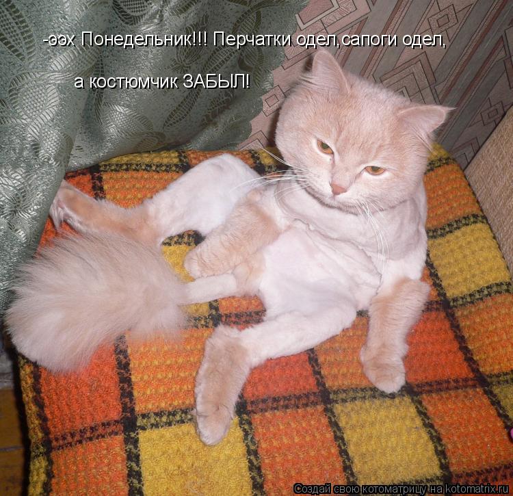 Котоматрица: -ээх Понедельник!!! Перчатки одел,сапоги одел, а костюмчик ЗАБЫЛ!