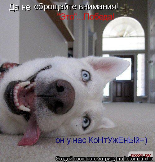Котоматрица: Да не  оброщайте внимания! "Это"...Победа! он у нас КоНтУжЕнЫй=)
