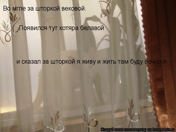 Котоматрица: Во мгле за шторкой вековой. Появился тут котяра белавой и сказал за шторкой я живу и жить там буду вечно я.
