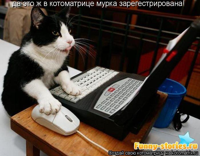 да это ж в котоматрице мурка зарегестрирована!... Котоматрица: да это ж в котоматрице мурка зарегестрирована!