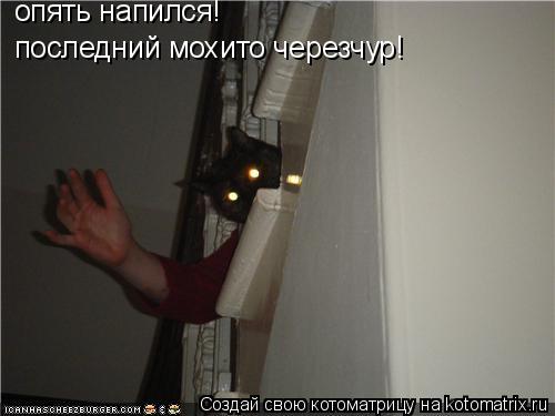 последний мохито черезчур! опять напился!... Котоматрица: последний мохито черезчур! опять напился!