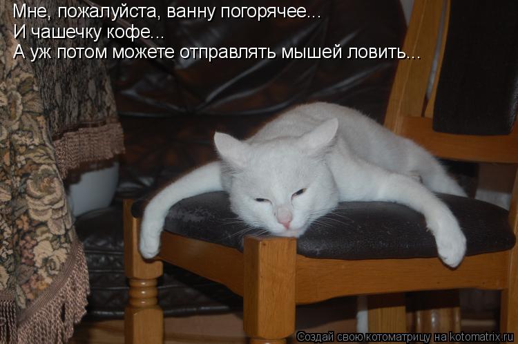 Мне, пожалуйста, ванну погорячее... И чашечку кофе... А уж потом можете отправлять мышей ловить...... Котоматрица: Мне, пожалуйста, ванну погорячее... И чашечку кофе... А уж потом можете отправлять мышей ловить...