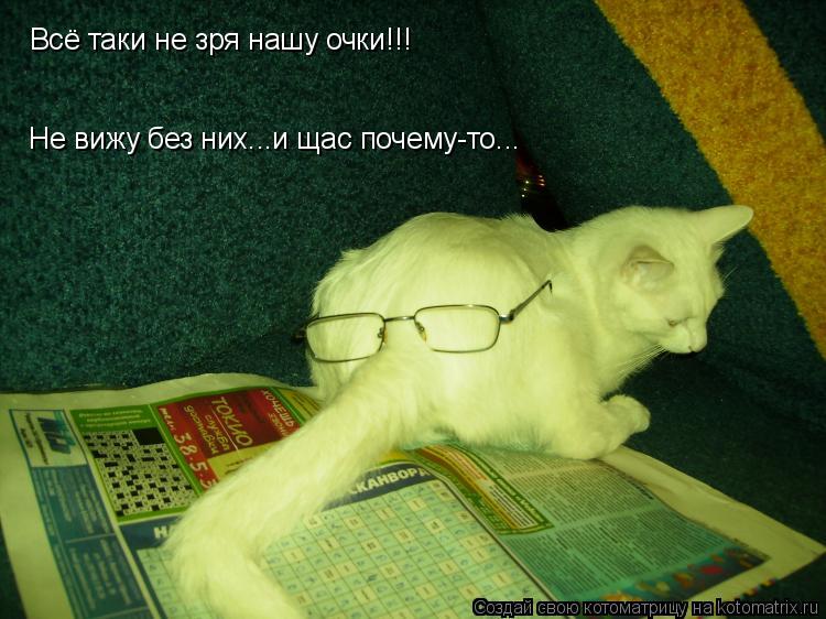 Всё таки не зря нашу очки!!! Не вижу без них...и щас почему-то...... Котоматрица: Всё таки не зря нашу очки!!! Не вижу без них...и щас почему-то...