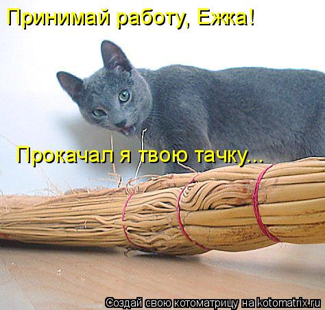 Принимай работу, Ежка! Прокачал я твою тачку...... Котоматрица: Принимай работу, Ежка! Прокачал я твою тачку...